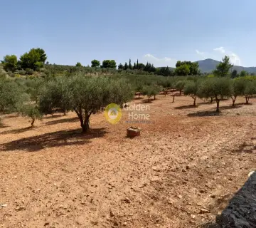 Μονοκατοικία 350τ.μ. προς πώληση φωτογραφία 15