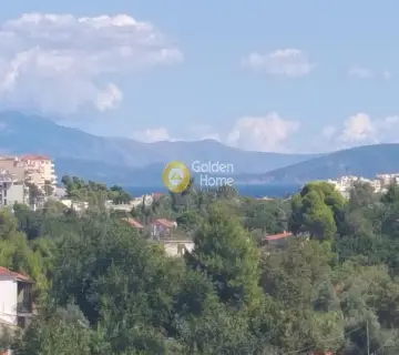 Αυτόνομο Κτίριο 420τ.μ. προς πώληση φωτογραφία 5