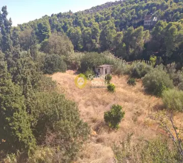 Αυτόνομο Κτίριο 420τ.μ. προς πώληση φωτογραφία 21