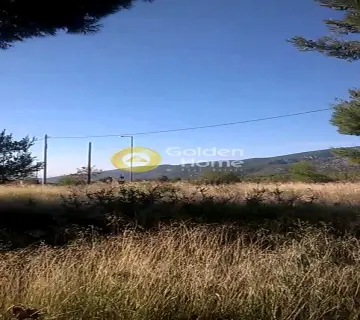 Οικιστικό 1013τ.μ. προς πώληση φωτογραφία 2288563