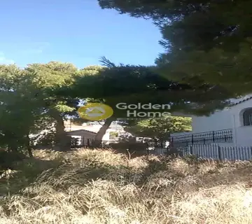 Οικιστικό 1013τ.μ. προς πώληση φωτογραφία 2288564