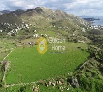 Professional Plot 18535m<sup>2</sup> for sale photo 2287099