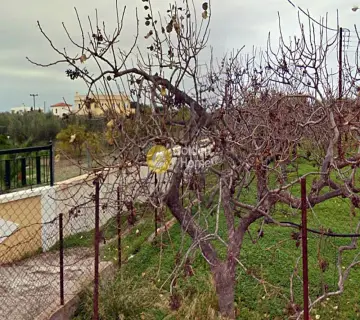 Residential 1200m<sup>2</sup> for sale photo 2