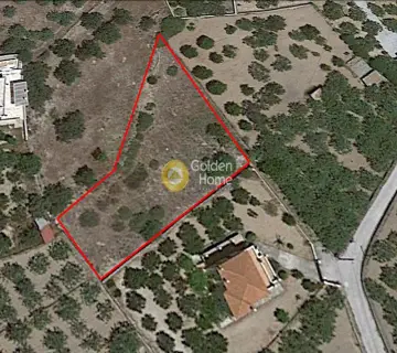 Residential 1200m<sup>2</sup> for sale photo 1