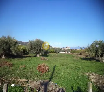 住宅 6892m<sup>2</sup> for sale photo 2288324