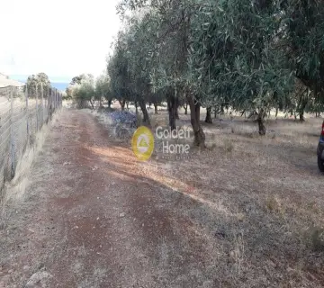Parcel 2540m<sup>2</sup> for sale photo 2290118