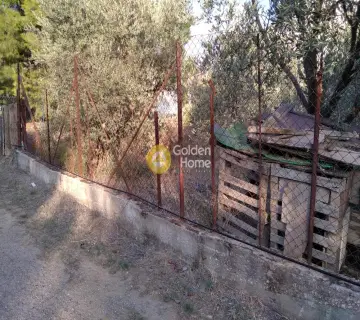 Residential 305m<sup>2</sup> for sale photo 2295055