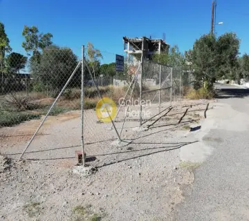 Residential 442m<sup>2</sup> for sale photo 3