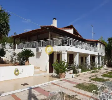 Μονοκατοικία 235τ.μ. προς πώληση φωτογραφία 3