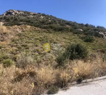 Οικιστικό 606τ.μ. προς πώληση φωτογραφία 2298058