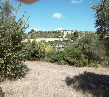 Επαγγελ. Οικόπεδο 6517τ.μ. προς ενοικίαση φωτογραφία 2315762