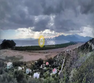 Golden Home Property Image