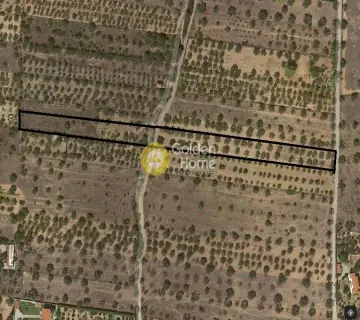 Parcel 10000m<sup>2</sup> for sale photo 5