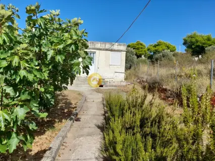 Residential 280m<sup>2</sup> for sale photo 1