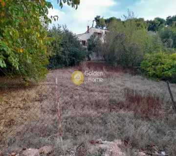Οικιστικό 1500τ.μ. προς πώληση φωτογραφία 4
