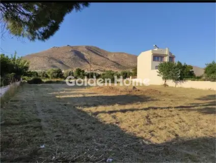 Residential 1203m<sup>2</sup> for sale photo 4