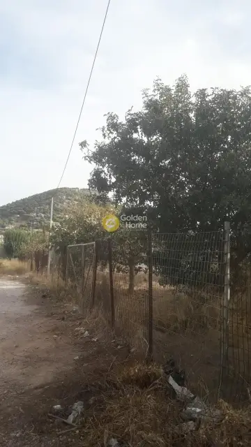 Residential 1100m<sup>2</sup> for sale photo 3