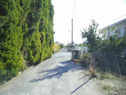 Residential 433m<sup>2</sup> for sale photo 2