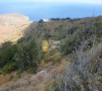 Parcel 5068m<sup>2</sup> for sale photo 2309690