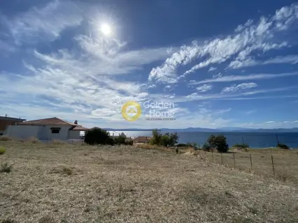 Residential 1013m<sup>2</sup> for sale photo 2326066