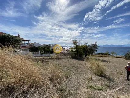 Residential 1015m<sup>2</sup> for sale photo 2326096