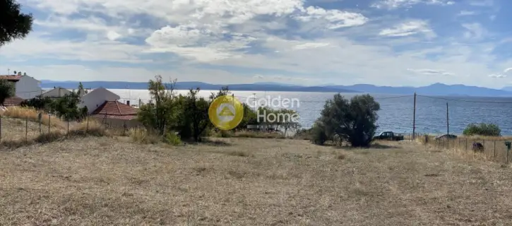 Professional Plot 3558m<sup>2</sup> for sale photo 2