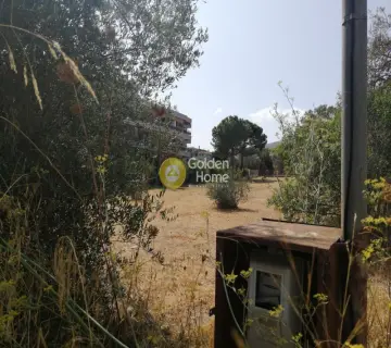 Residential 2000m<sup>2</sup> for sale photo 5