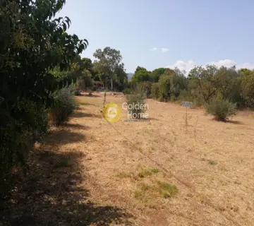 Residential 2000m<sup>2</sup> for sale photo 2