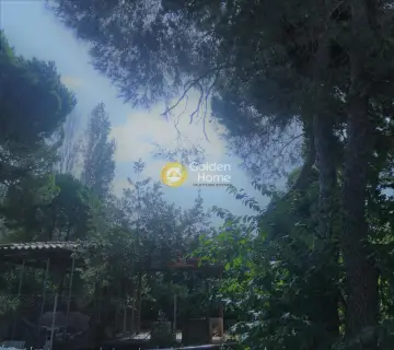 Οικιστικό 1150τ.μ. προς πώληση φωτογραφία 7