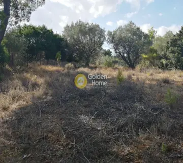 Parcel 1700m<sup>2</sup> for sale photo 10
