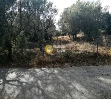 Parcel 1700m<sup>2</sup> for sale photo 5