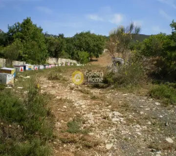 Parcel 5000m<sup>2</sup> for sale photo 2316920