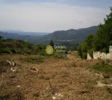 Parcel 5000m<sup>2</sup> for sale photo 2316922