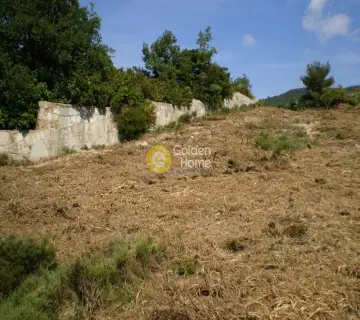 Parcel 5000m<sup>2</sup> for sale photo 2316923