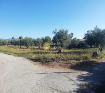 Οικιστικό 5000τ.μ. προς πώληση φωτογραφία 2319549
