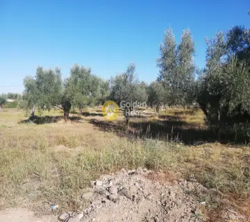 Οικιστικό 5000τ.μ. προς πώληση φωτογραφία 2319550