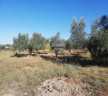 Οικιστικό 5000τ.μ. προς πώληση φωτογραφία 2319551