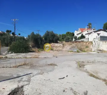 Επαγγελ. Οικόπεδο 5000τ.μ. προς πώληση φωτογραφία 2319559