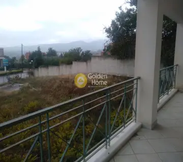 Μονοκατοικία 360τ.μ. προς πώληση φωτογραφία 15