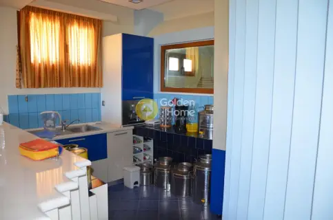 Μονοκατοικία 469τ.μ. προς πώληση φωτογραφία 42