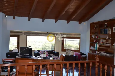 Μονοκατοικία 469τ.μ. προς πώληση φωτογραφία 74