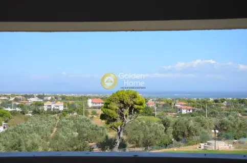 Μονοκατοικία 469τ.μ. προς πώληση φωτογραφία 93