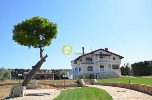 Golden Home Property Image