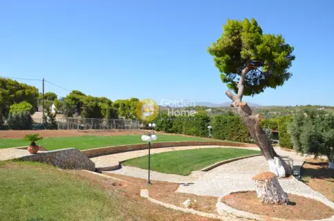 Golden Home Property Image