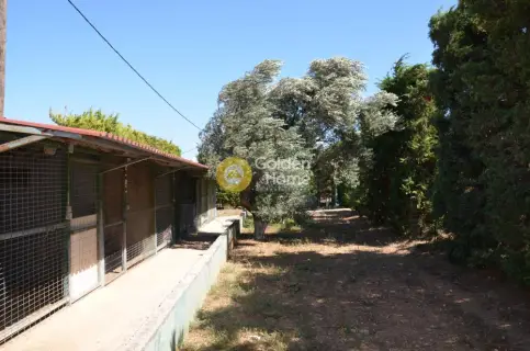 Μονοκατοικία 469τ.μ. προς πώληση φωτογραφία 108