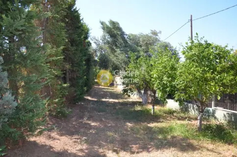 Μονοκατοικία 469τ.μ. προς πώληση φωτογραφία 109