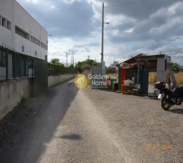 Αγροτεμάχιο 3605τ.μ. προς πώληση φωτογραφία 4