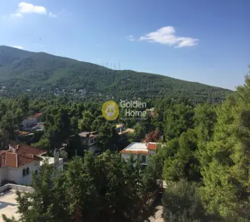 Οροφομεζονέτα 242τ.μ. προς πώληση φωτογραφία 16