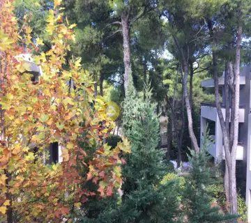 Οροφομεζονέτα 242τ.μ. προς πώληση φωτογραφία 20