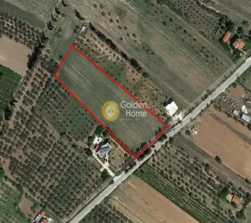 Parcel 6024m<sup>2</sup> for rent photo 2